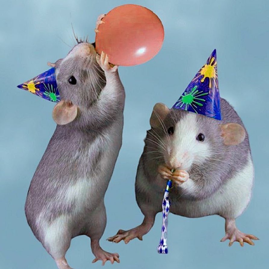 _tero._ instagram image archive image