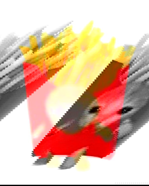 _tero._ image ~ Altpins