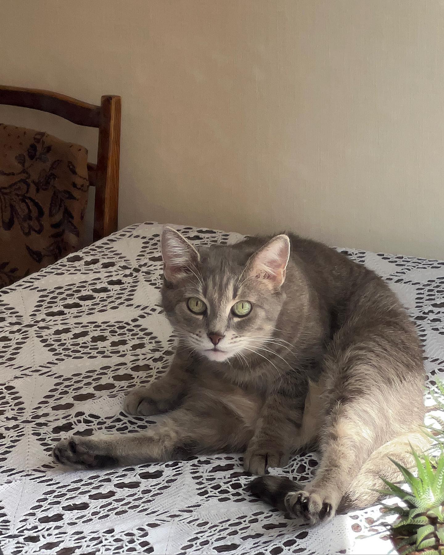 _tero._ instagram image archive image