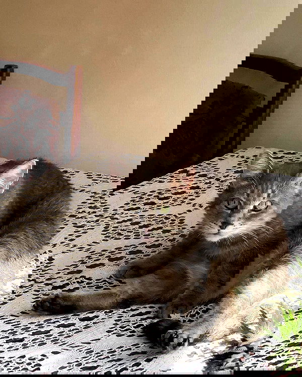 _tero._ image ~ Altpins