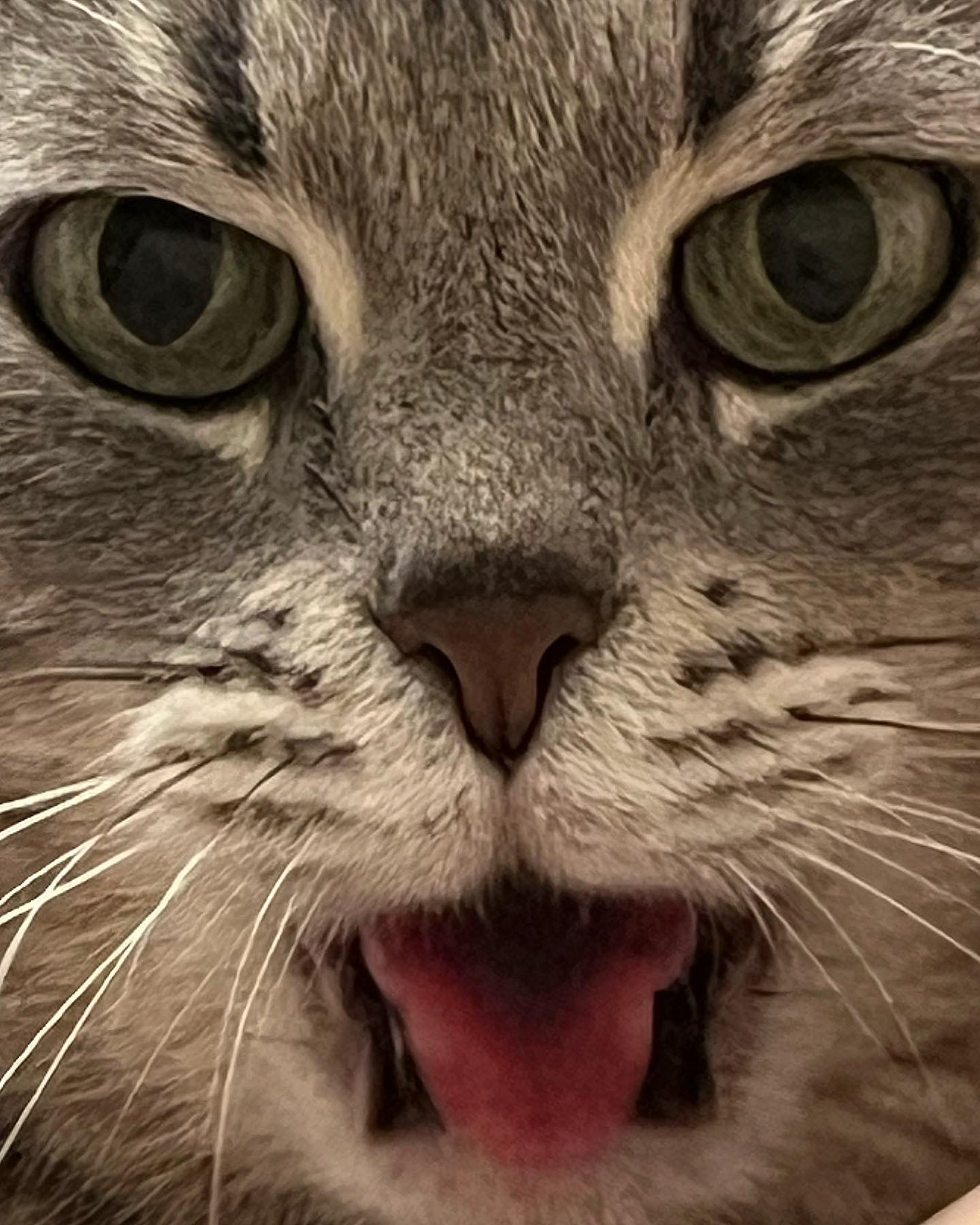 _tero._ instagram image archive image