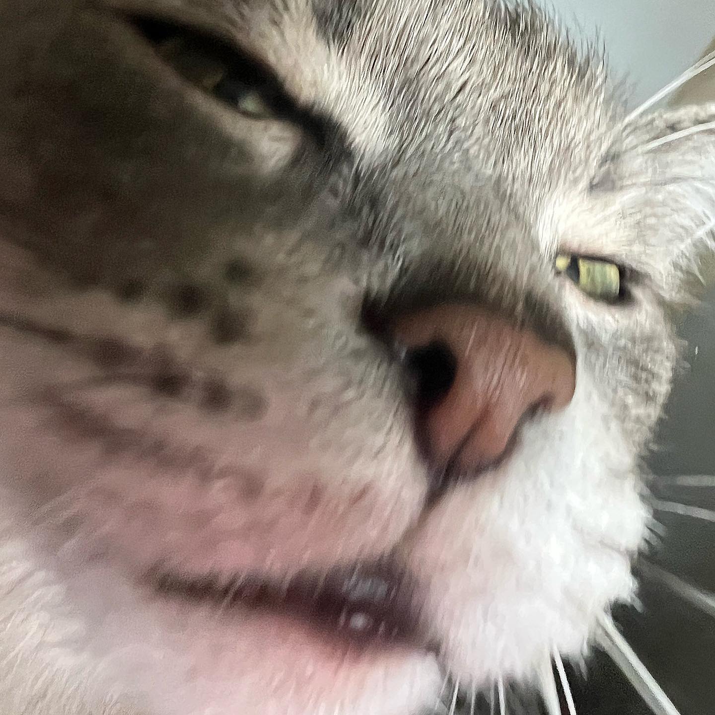 _tero._ instagram image archive image