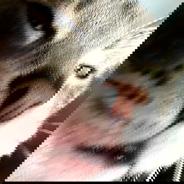 _tero._ image ~ Altpins