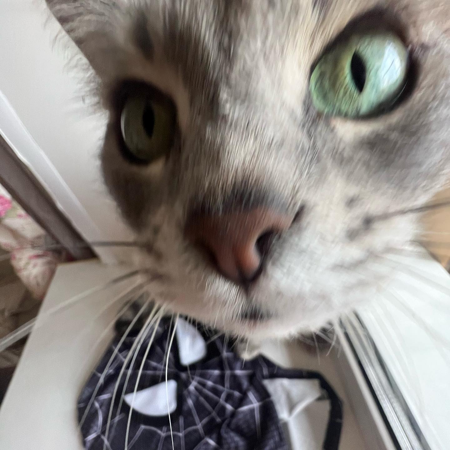 _tero._ instagram image archive image