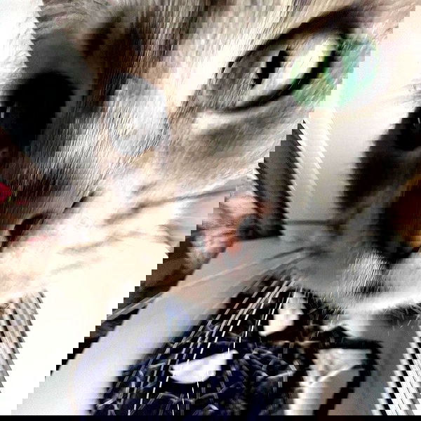 _tero._ image ~ Altpins