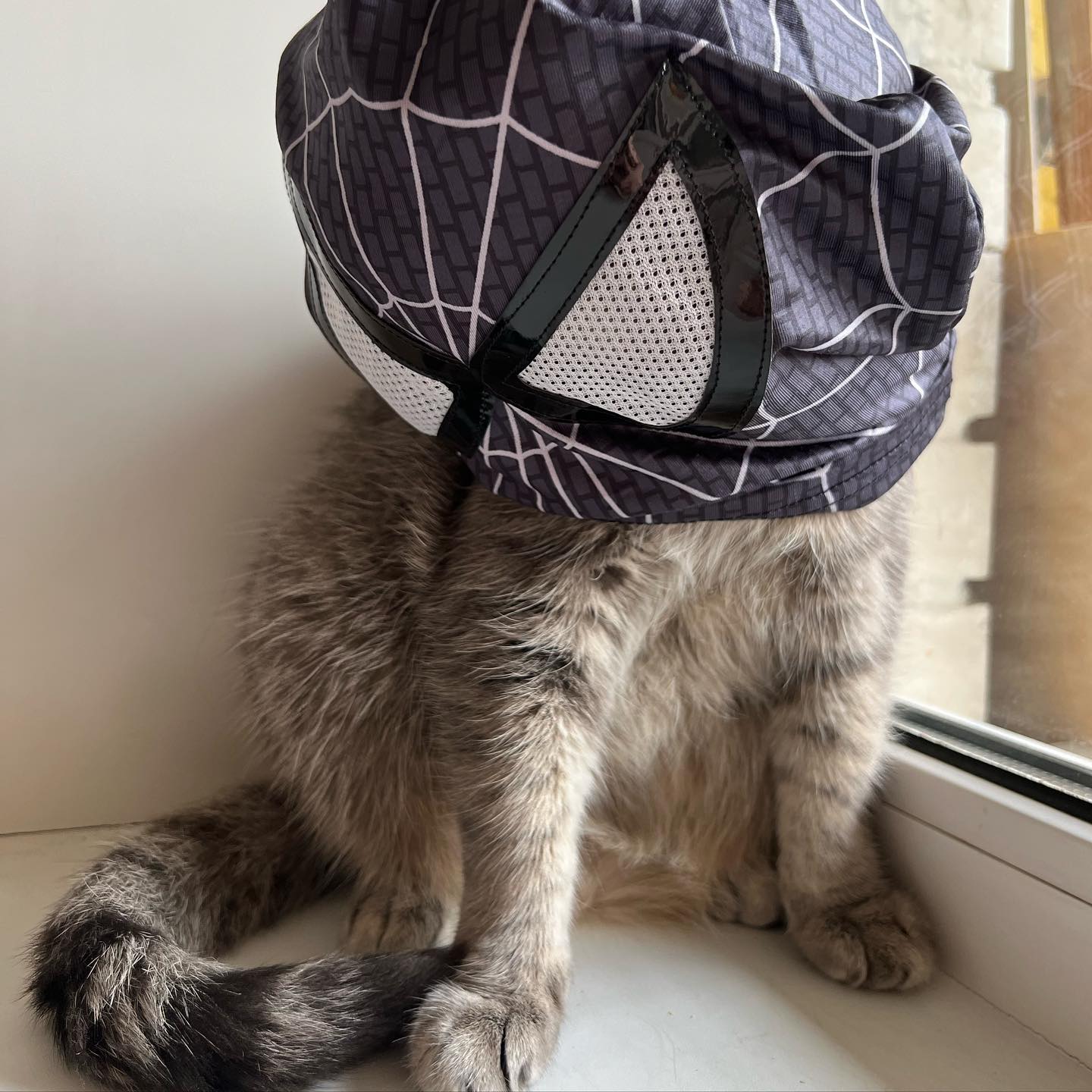 _tero._ instagram image archive image