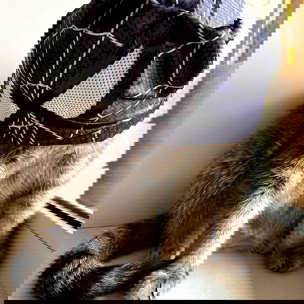 _tero._ image ~ Altpins