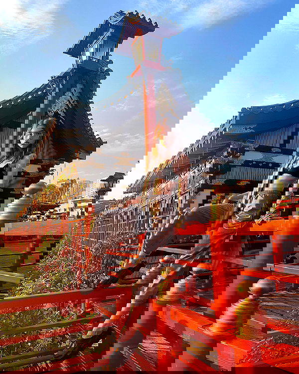 _tero._ image ~ Altpins