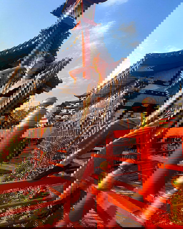 _tero._ image ~ Altpins