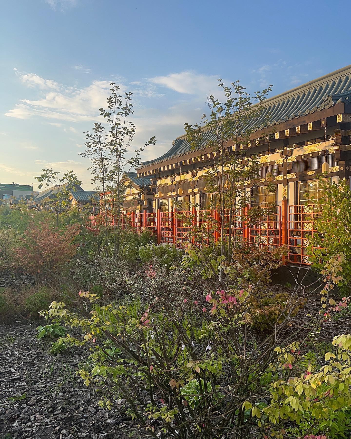 _tero._ instagram image archive image