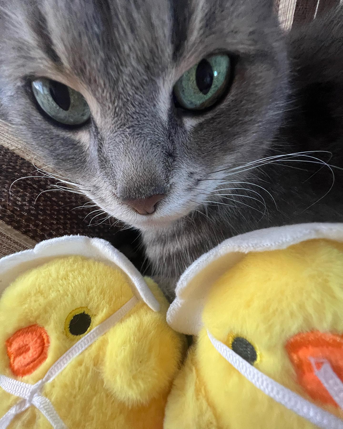 _tero._ instagram image archive image