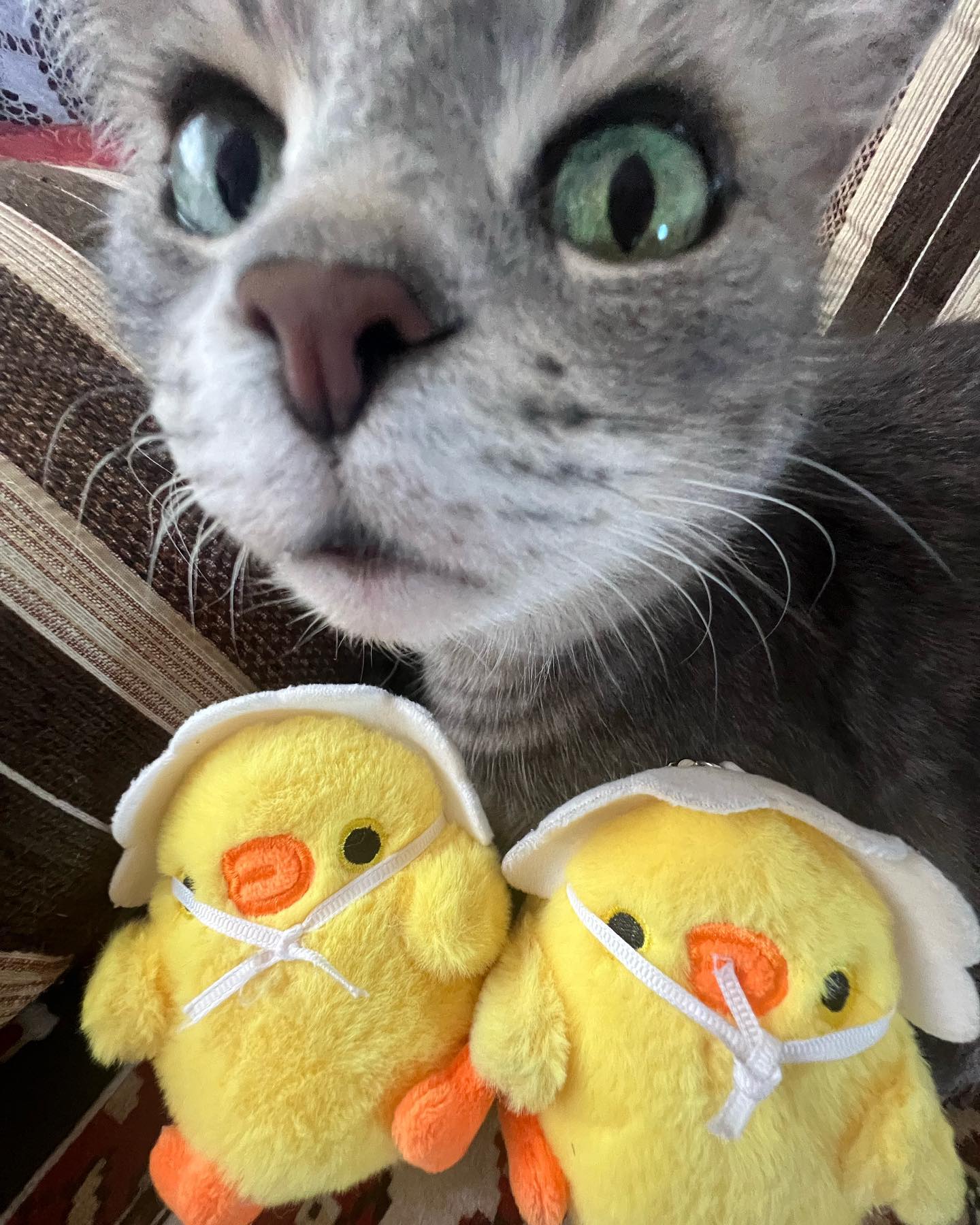 _tero._ instagram image archive image