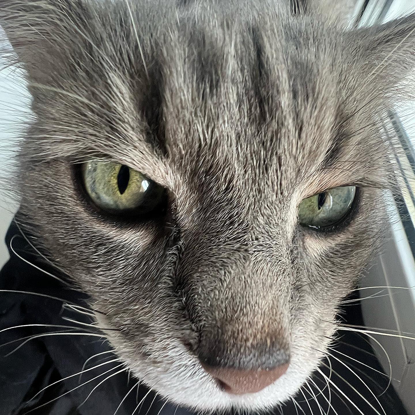 _tero._ instagram image archive image