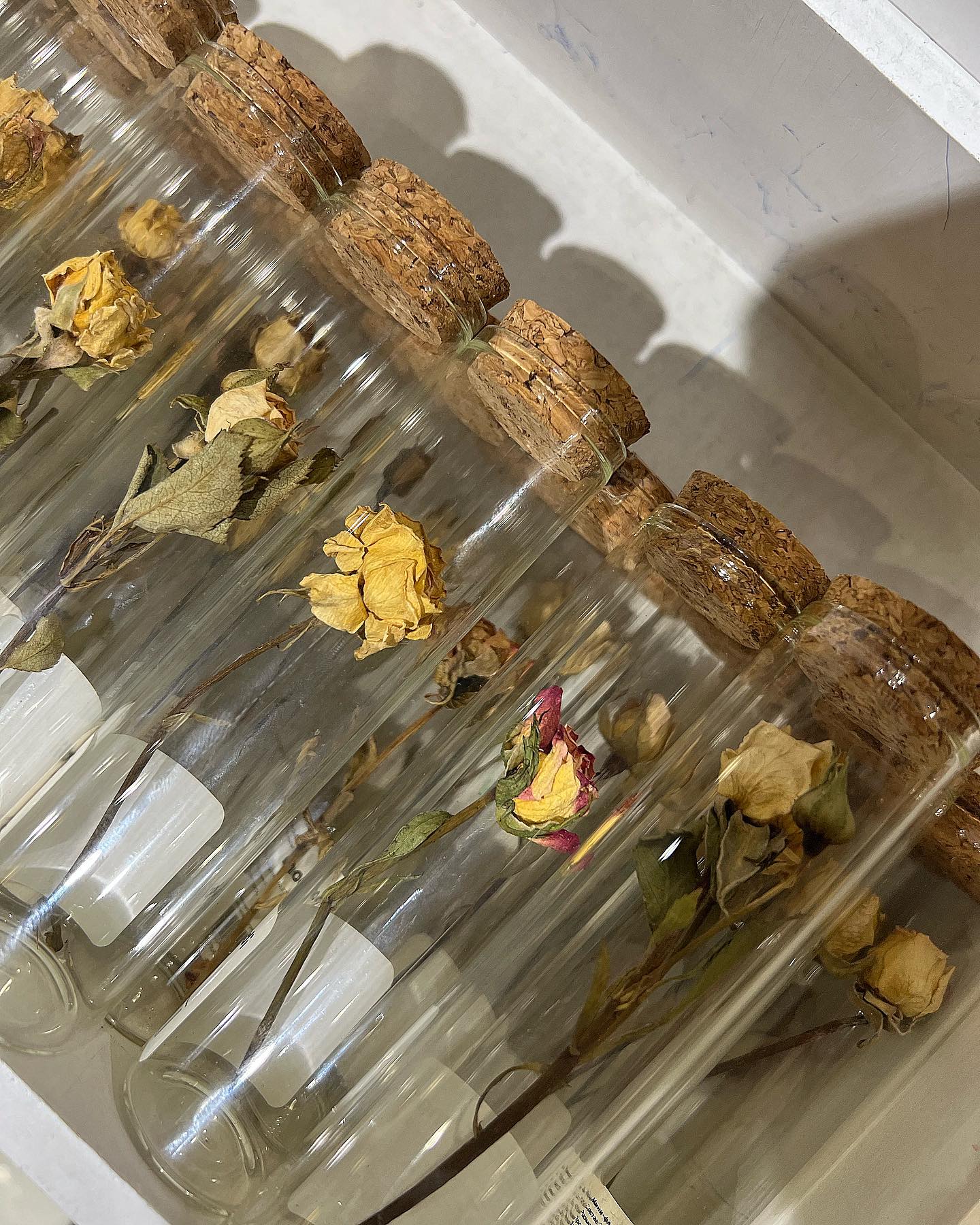 _tero._ instagram image archive image