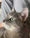 _tero._ Altpins Profile Picture