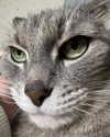 _tero._ Altpins Profile Picture