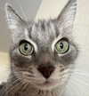 _tero._ Altpins Profile Picture