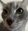 _tero._ Altpins Profile Picture