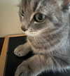 _tero._ Altpins Profile Picture