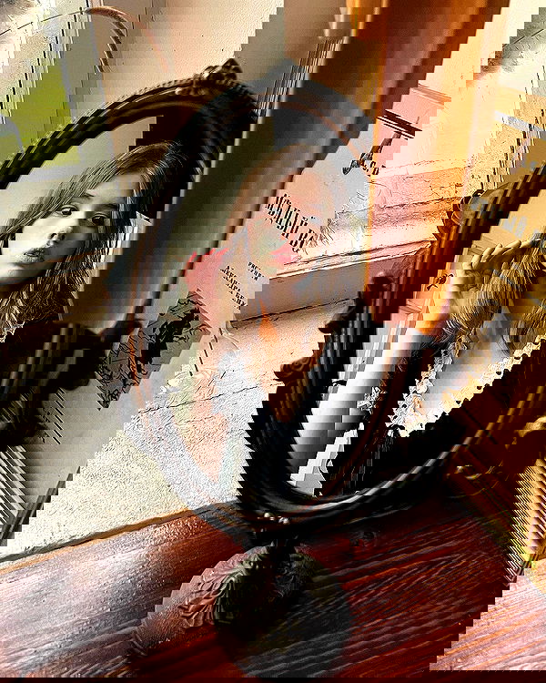 _tero._ image ~ Altpins