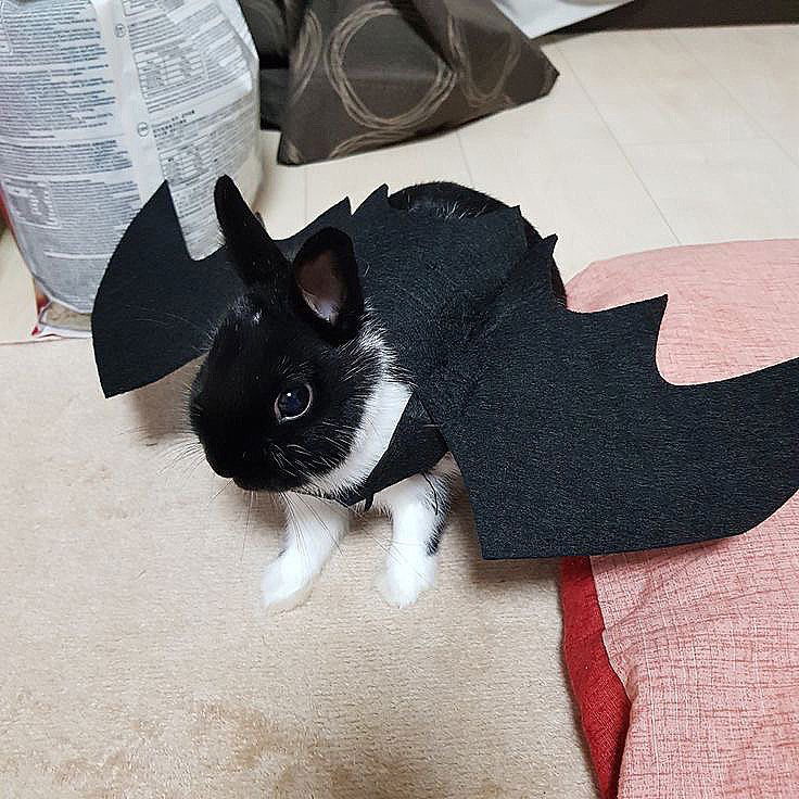 _tero._ instagram image archive image