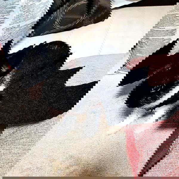 _tero._ image ~ Altpins