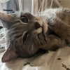 _tero._ Altpins Profile Picture