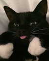 _tero._ Altpins Profile Picture