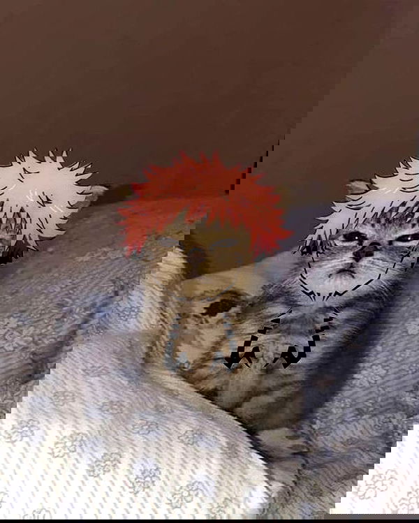 _tero._ image ~ Altpins