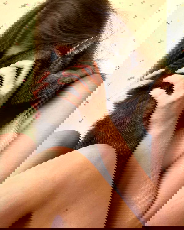 _tero._ image ~ Altpins