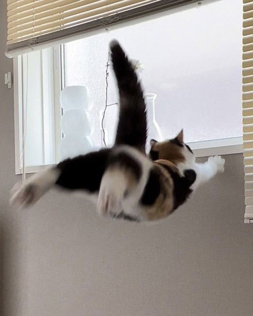 _tero._ instagram image archive image