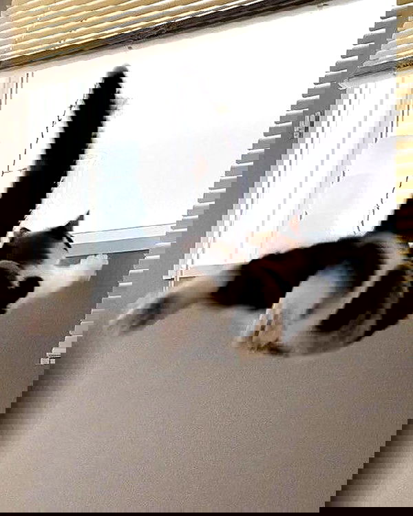 _tero._ image ~ Altpins