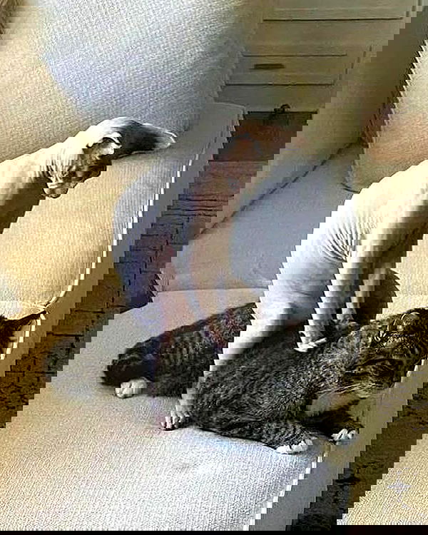 _tero._ image ~ Altpins