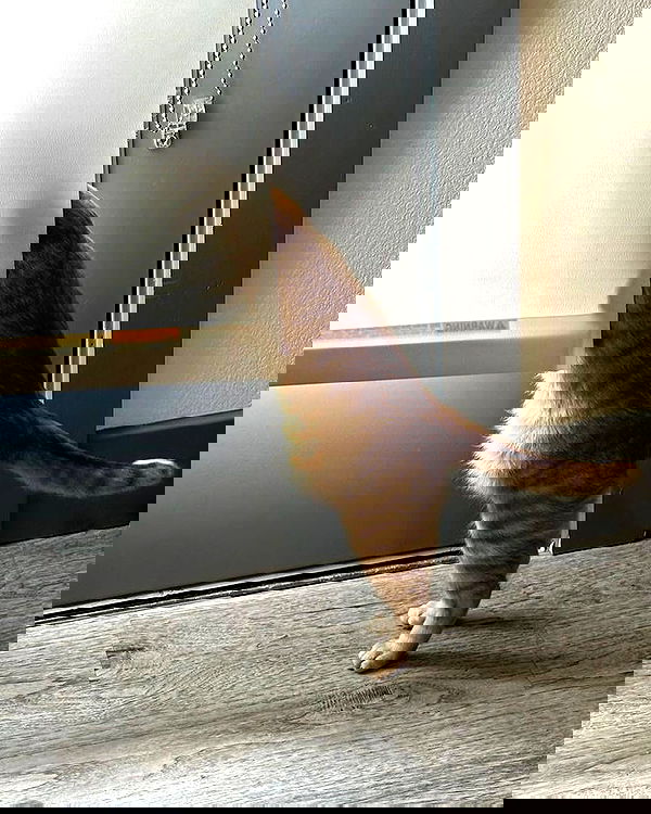 _tero._ image ~ Altpins