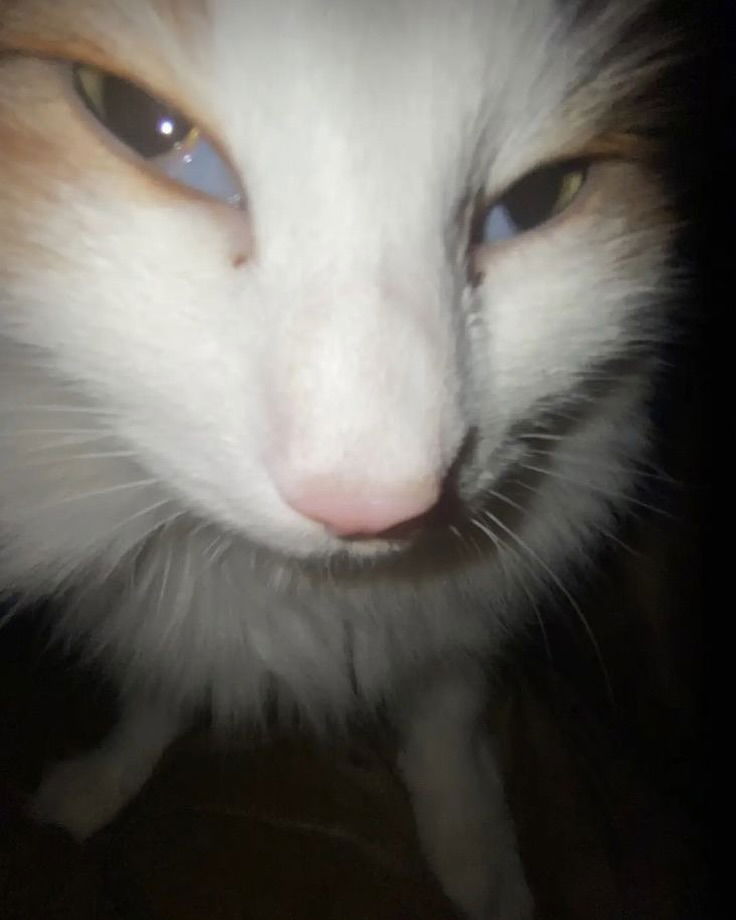 _tero._ instagram image archive image