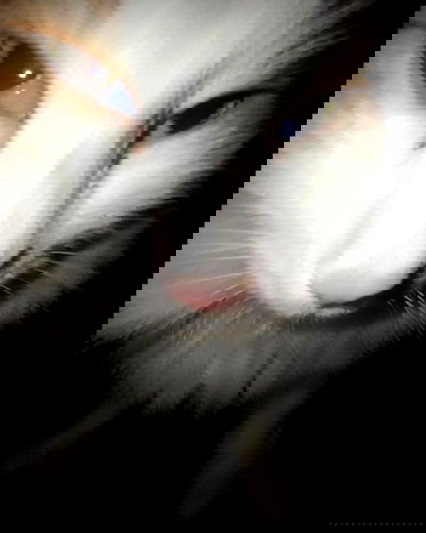 _tero._ image ~ Altpins