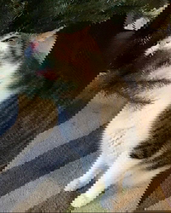 _tero._ instagram image archive image