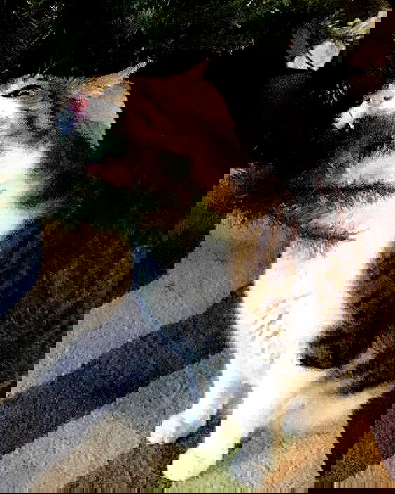 _tero._ image ~ Altpins