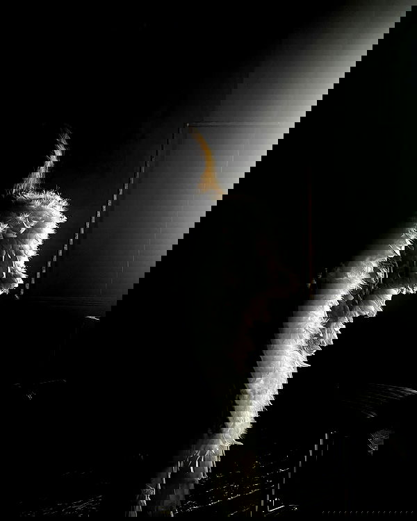 _tero._ image ~ Altpins