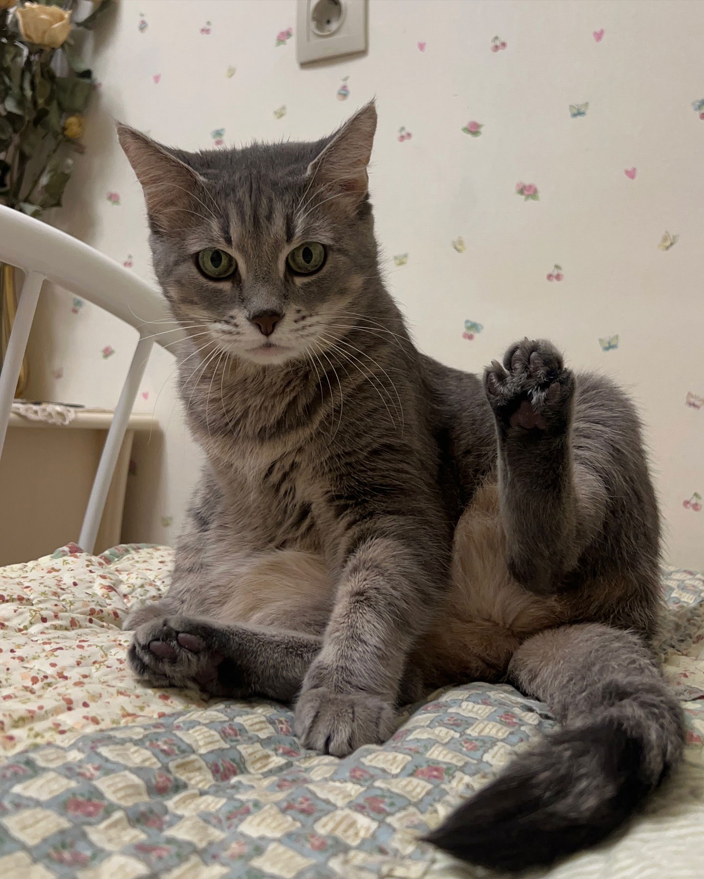 _tero._ instagram image archive image