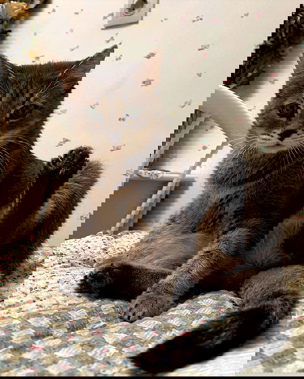 _tero._ image ~ Altpins