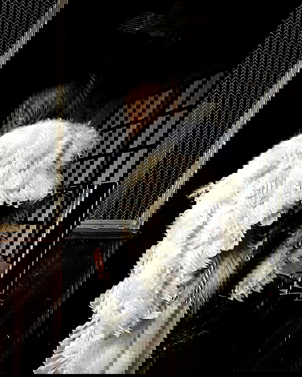 _tero._ image ~ Altpins