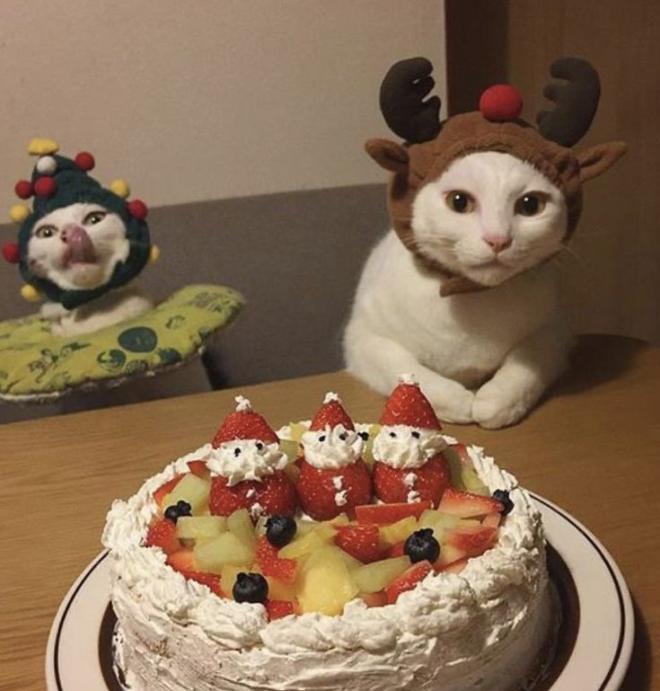 _tero._ instagram image archive image