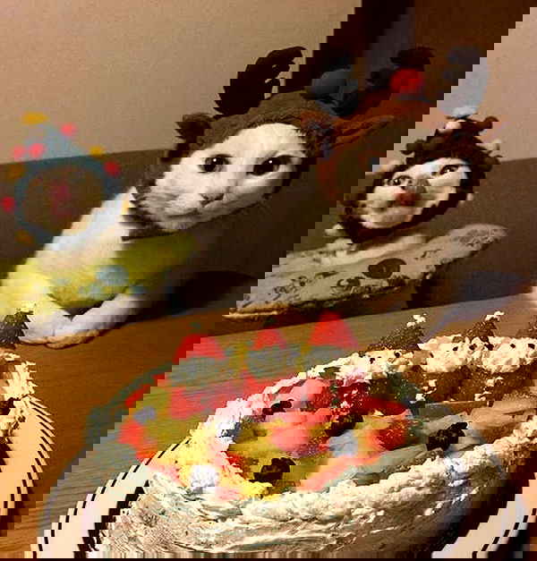 _tero._ image ~ Altpins