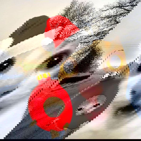 _tero._ image ~ Altpins