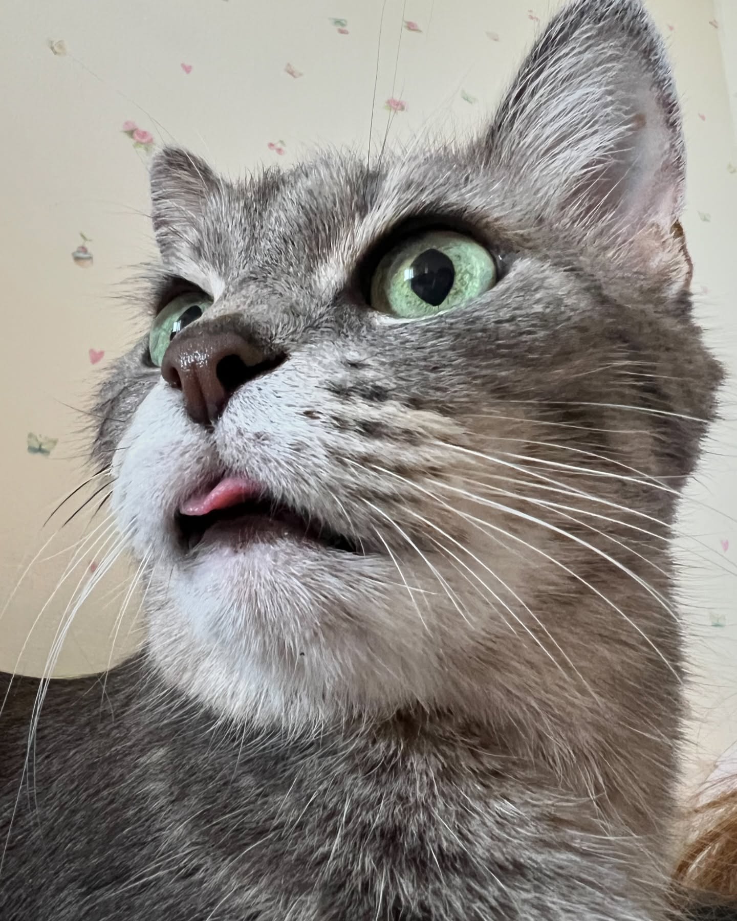 _tero._ instagram image archive image