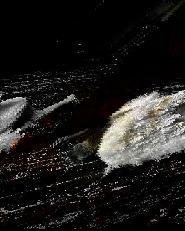 _tero._ image ~ Altpins