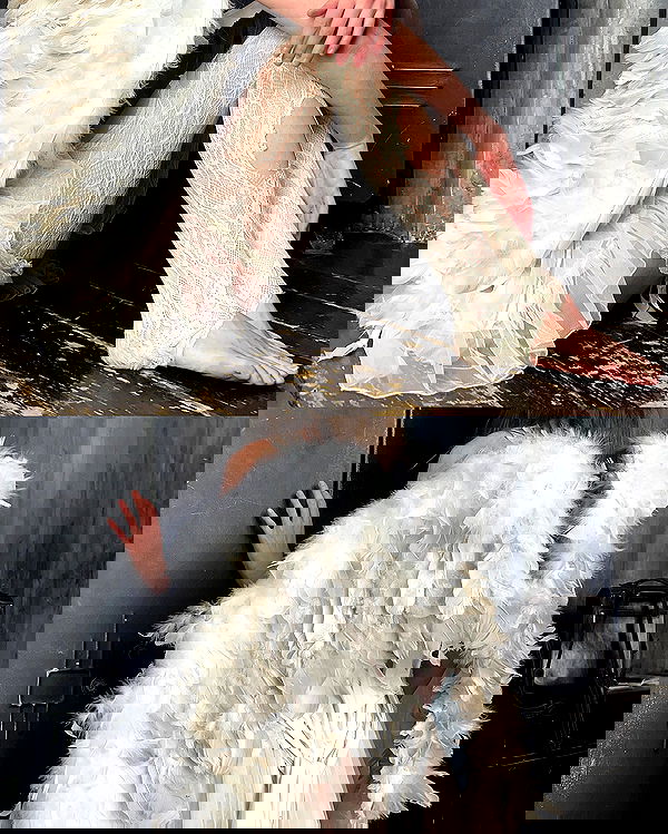 _tero._ image ~ Altpins