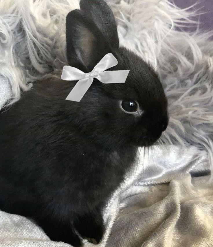 _tero._ instagram image archive image