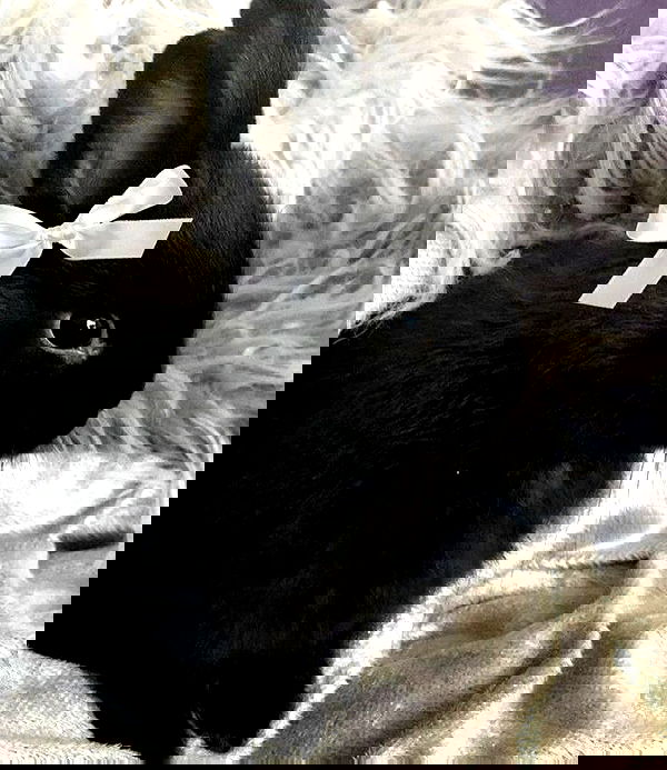 _tero._ image ~ Altpins